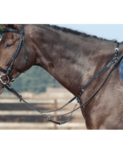 Collier de chasse avec martingale CONCORDE Vernis