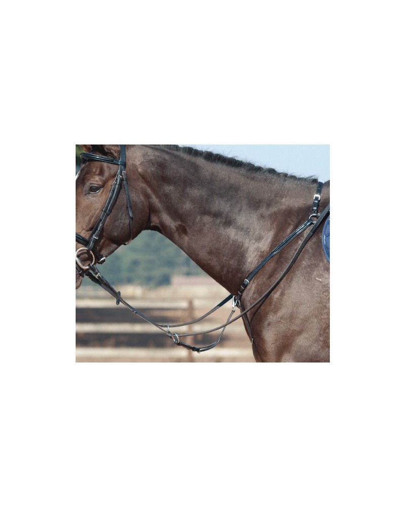 Collier de chasse avec martingale CONCORDE Vernis