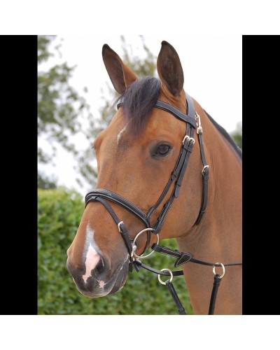 Bridon DY'ON "Working bridle"