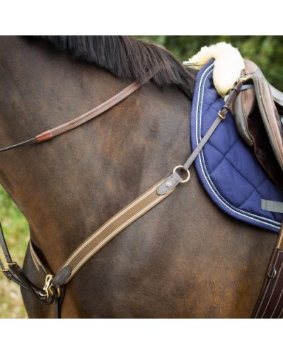 Collier de chasse HFI Elastic