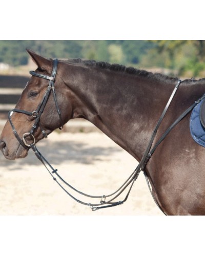 Martingale et collier de chasse CONCORDE