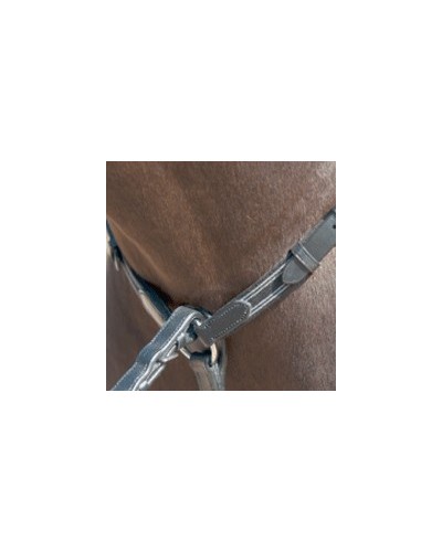 Martingale et collier de chasse CONCORDE