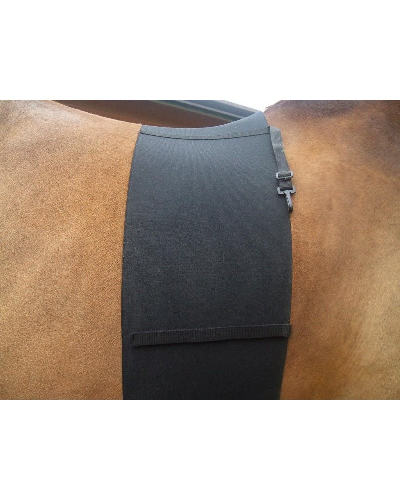 Bande de respect Lovehorses Deluxe | Equipement De La Selle