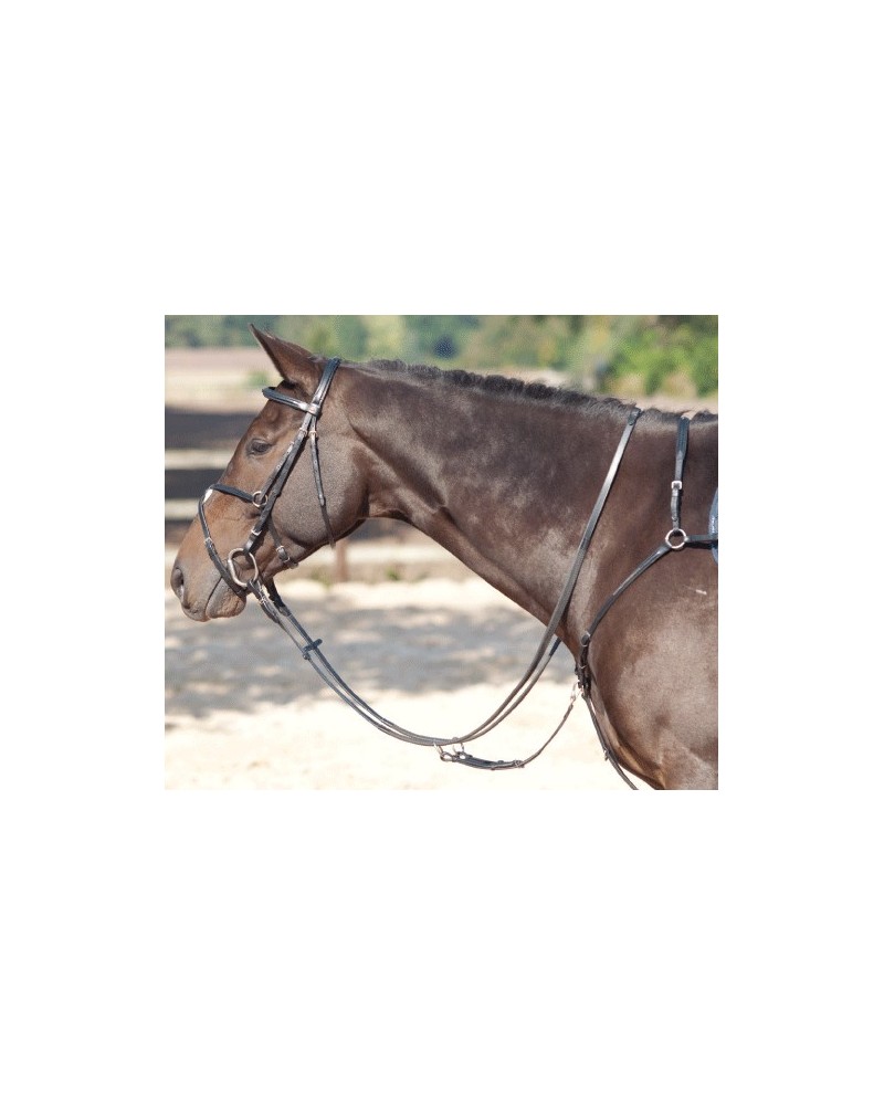 Martingale Réglable Horses Crew – Collier En Cuir, Boucles Résistantes, Tailles Cob/Full/Pony – Marron Ou Noir