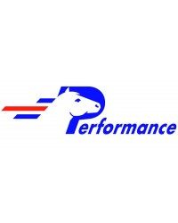 PERFORMANCE